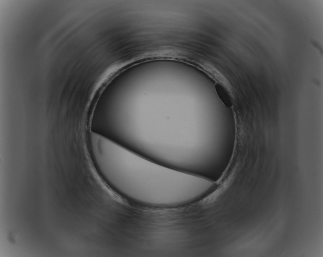 X0000093360989200710111305