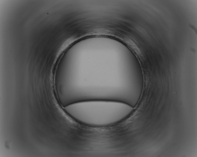 X0000093360990200710111305