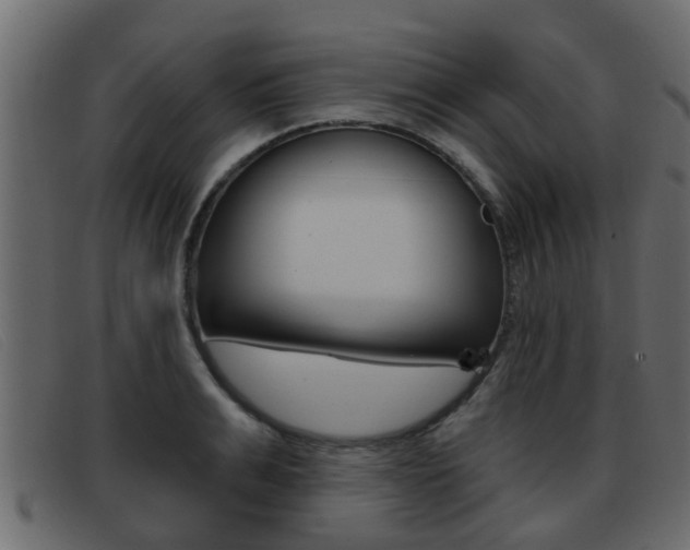 X0000093360991200710111305