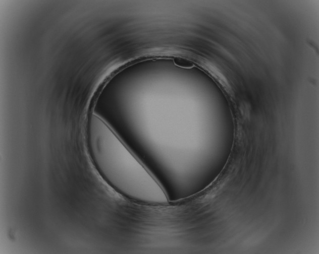 X0000093360992200710111305
