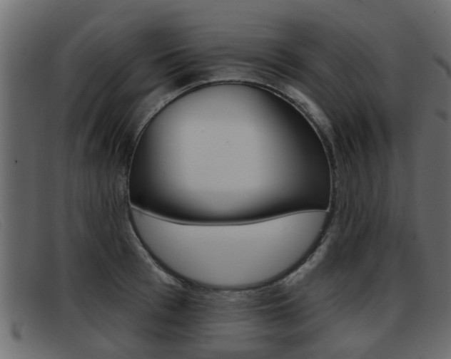 X0000093360993200710111305