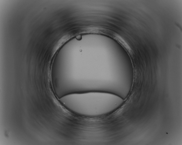 X0000093360994200710111305