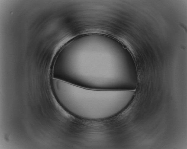 X0000093360995200710111305
