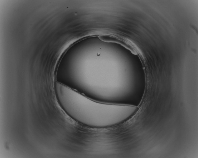X0000093360996200710111305