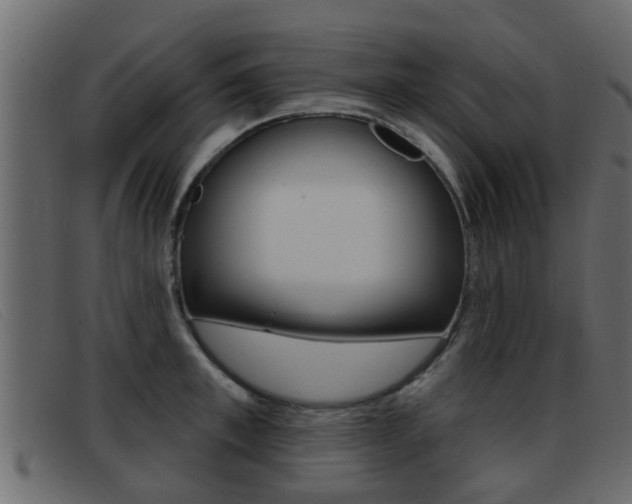 X0000093360997200710111305