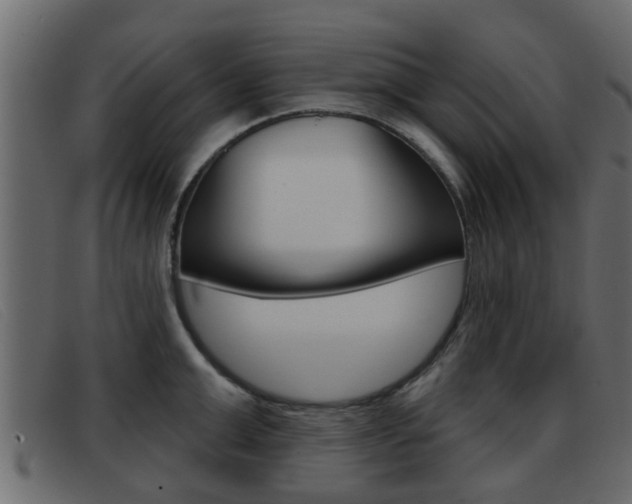 X0000093360999200710111305