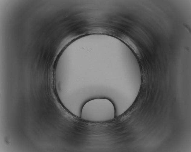 X0000093361000200710111305