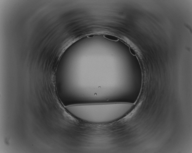 X0000093361001200710111305