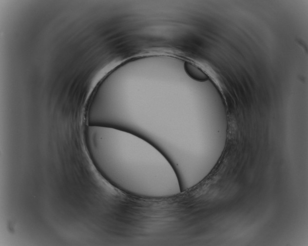 X0000093361003200710111305
