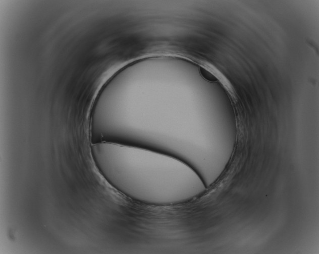 X0000093361004200710111305