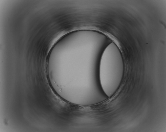 X0000093361006200710111305