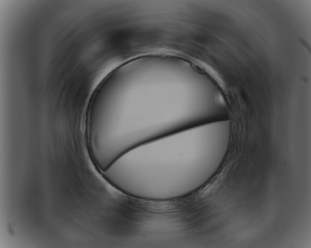 X0000093361007200710111305