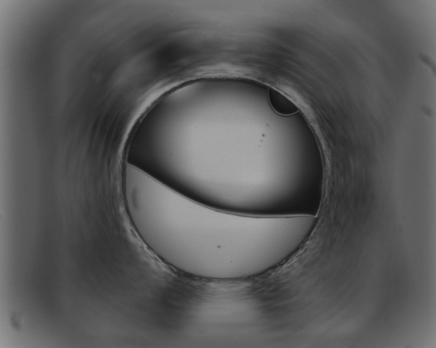 X0000093361008200710111305