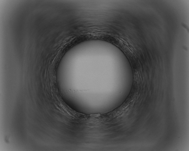 X0000093361009200710111304
