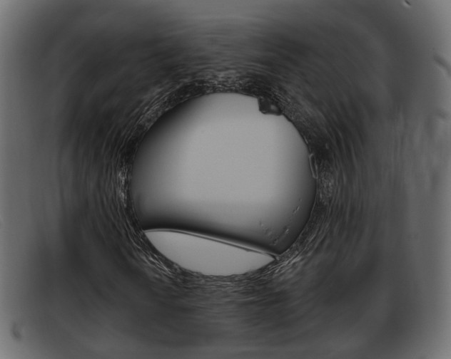 X0000093361010200710111304