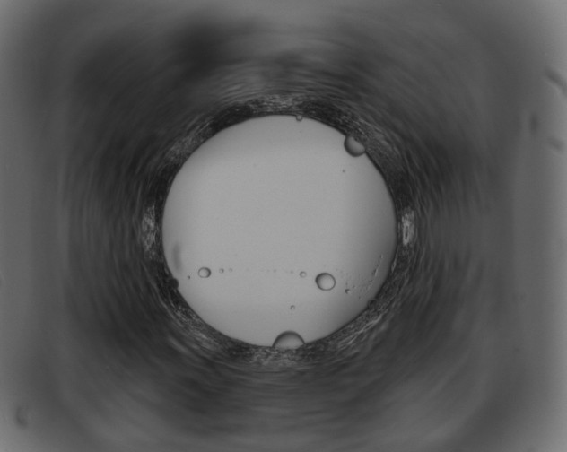X0000093361011200710111304