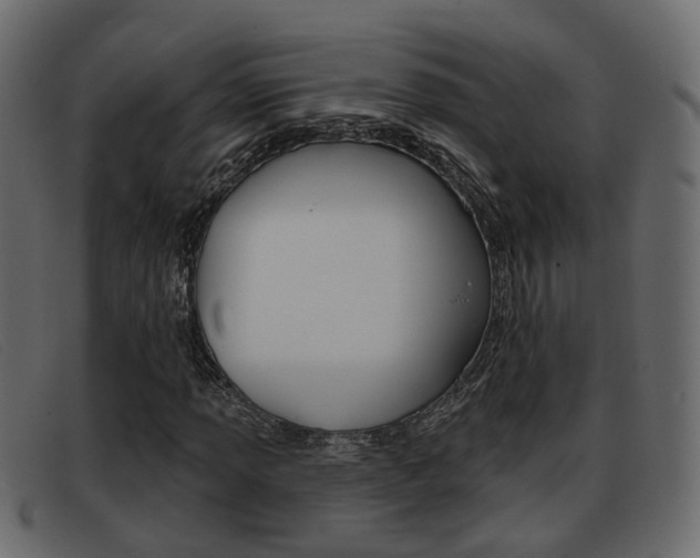 X0000093361013200710111304
