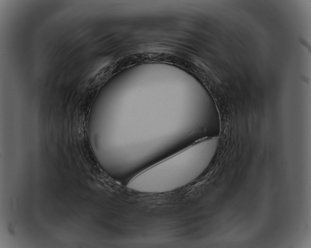 X0000093361014200710111304
