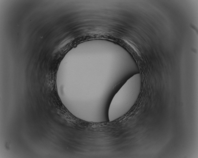 X0000093361015200710111304