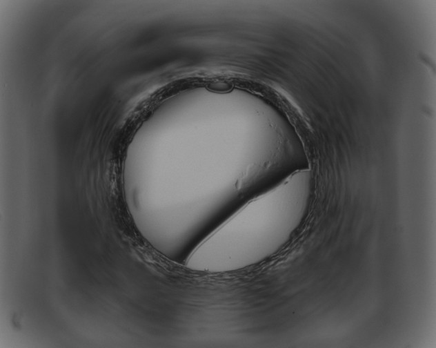 X0000093361016200710111304