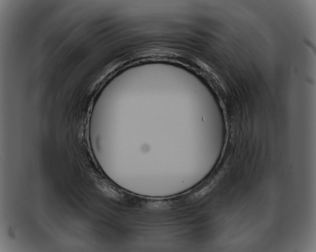X0000093361017200710111304