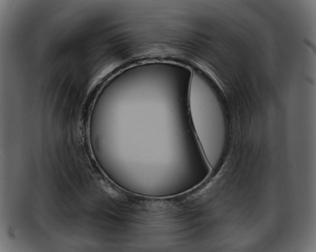 X0000093361018200710111304