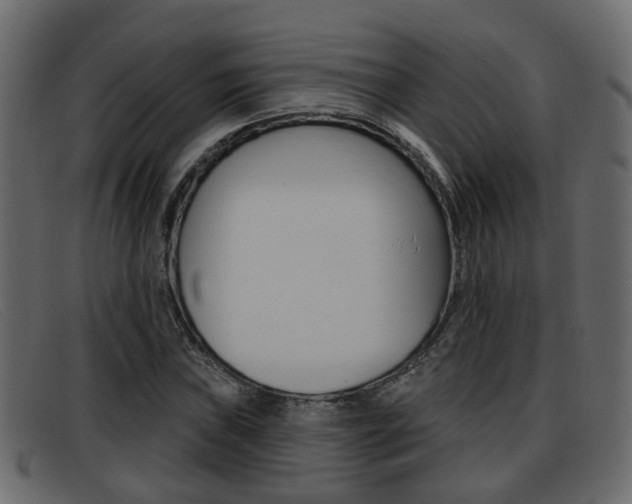 X0000093361019200710111304