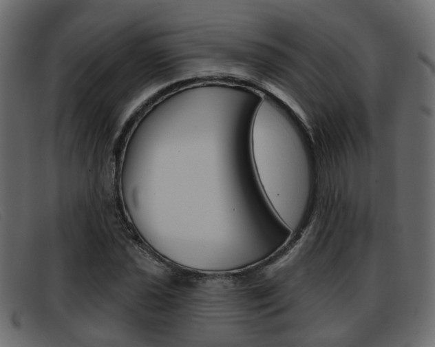 X0000093361021200710111304