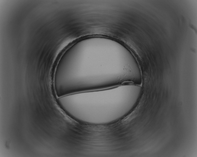 X0000093361024200710111305