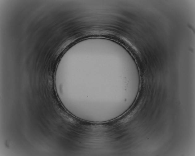 X0000093361025200710111305