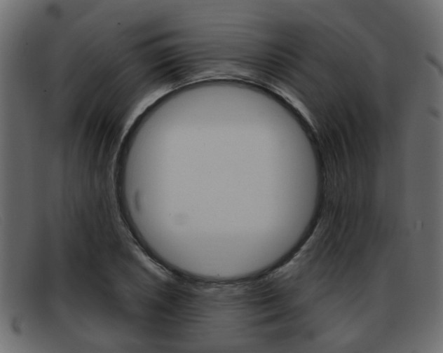X0000093361026200710111305