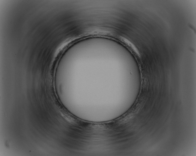 X0000093361027200710111305