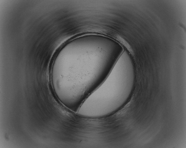 X0000093361028200710111305