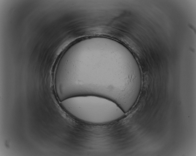 X0000093361031200710111305