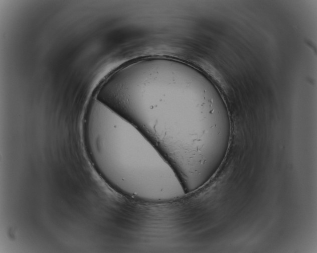 X0000093361032200710111305