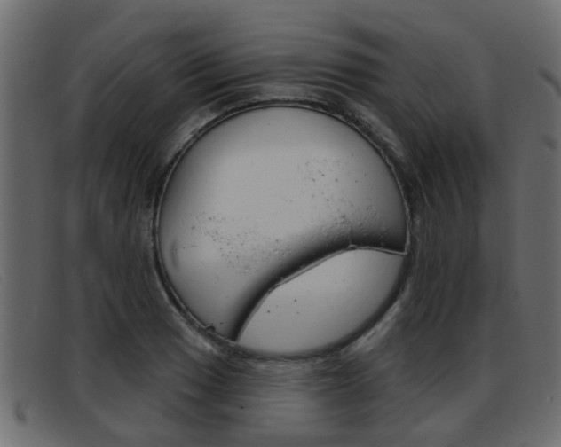 X0000093361033200710111305