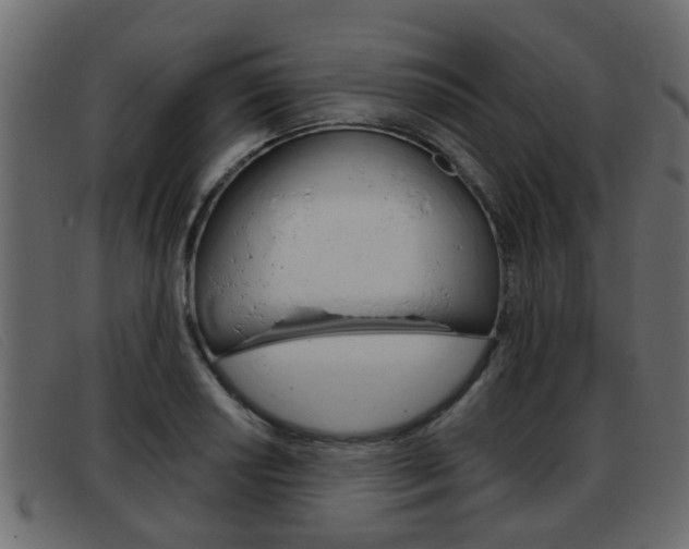 X0000093361034200710111305