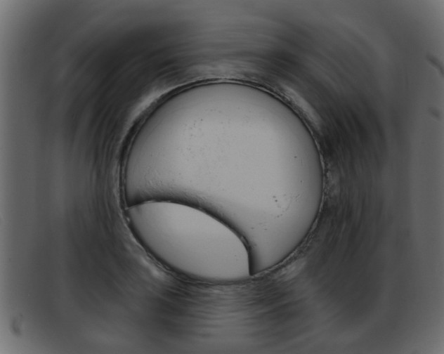 X0000093361035200710111305