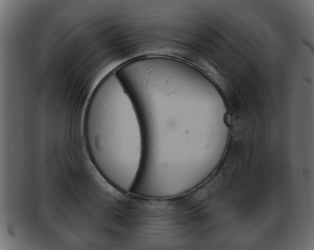 X0000093361036200710111305