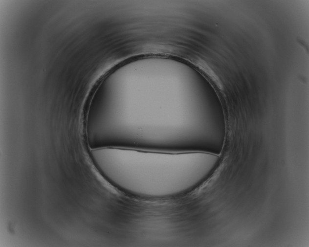 X0000093361037200710111305