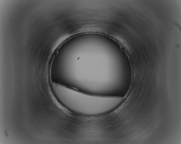 X0000093361038200710111305