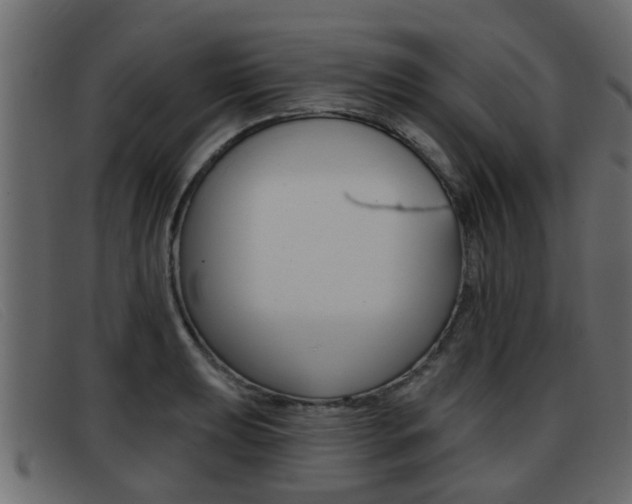X0000093361039200710111305