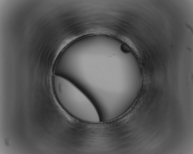 X0000093361040200710111305