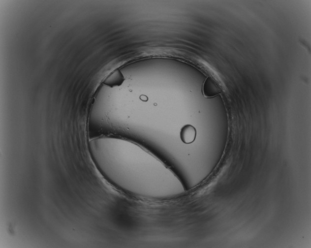 X0000093361041200710111305