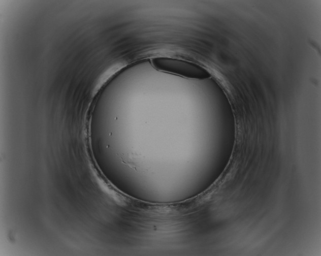 X0000093361042200710111305