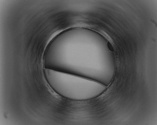 X0000093361044200710111305