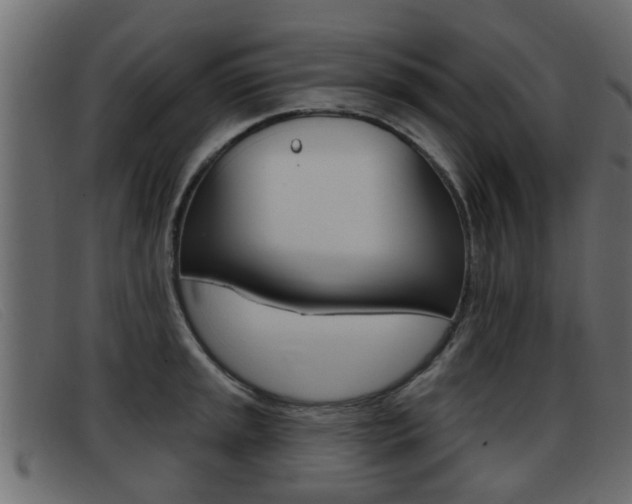 X0000093361045200710111305