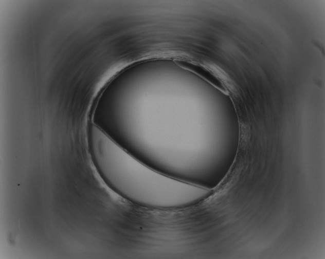 X0000093361046200710111305