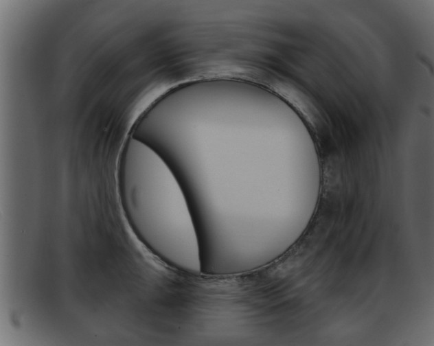 X0000093361047200710111305