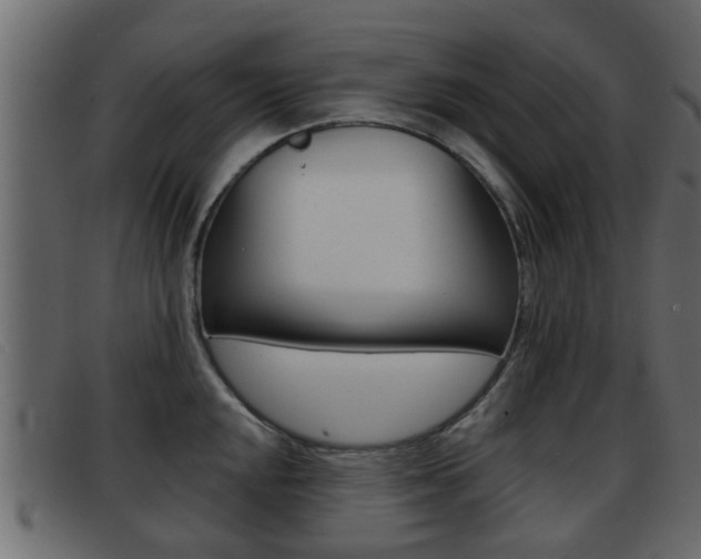 X0000093361048200710111305